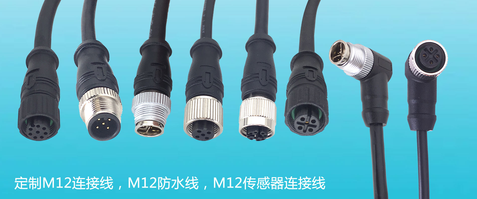 M12连接线